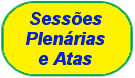 Sessoes Plenarias e Atas